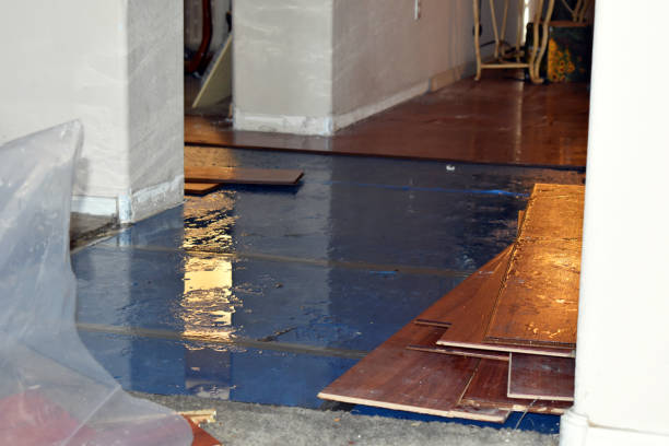 Professional Burst Pipe Water Damage technician working in Gardner, KS